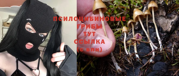 стаф Беломорск