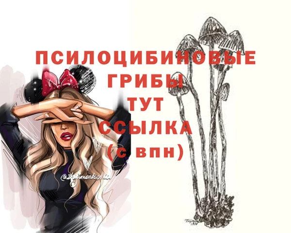 MESCALINE Баксан