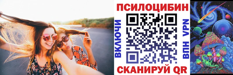 магазин    Кубинка  Псилоцибиновые грибы прущие грибы 