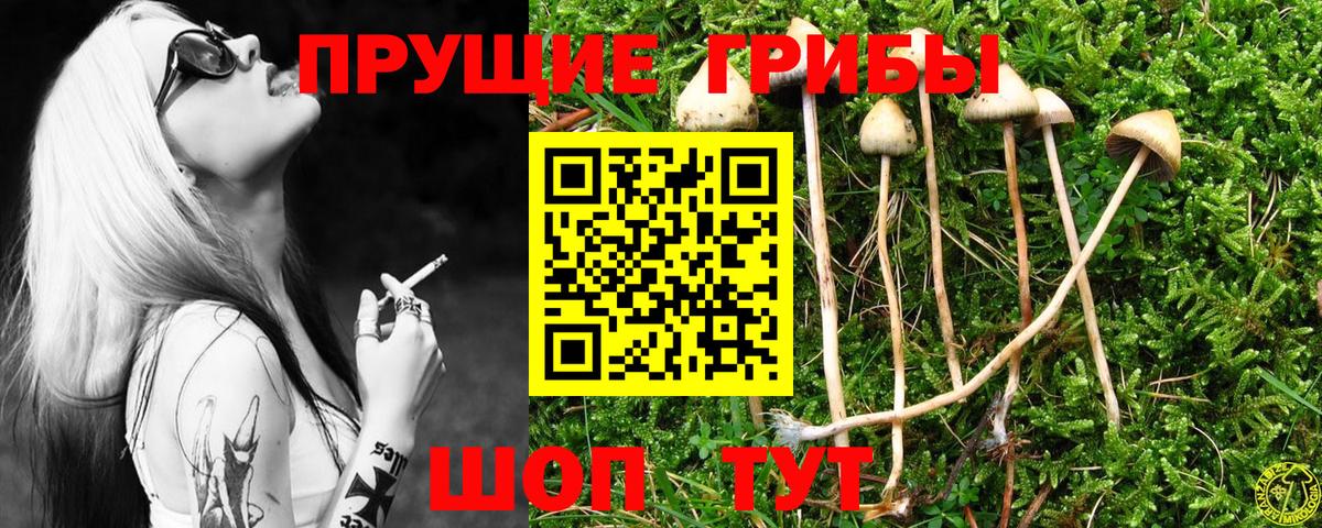 Галлюциногенные грибы ЛСД Кубинка