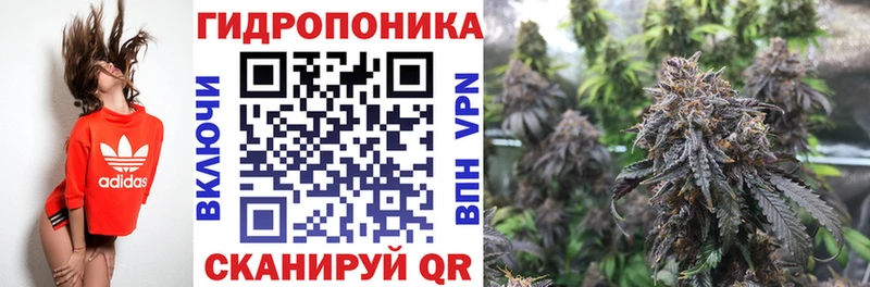 Каннабис гибрид Кубинка